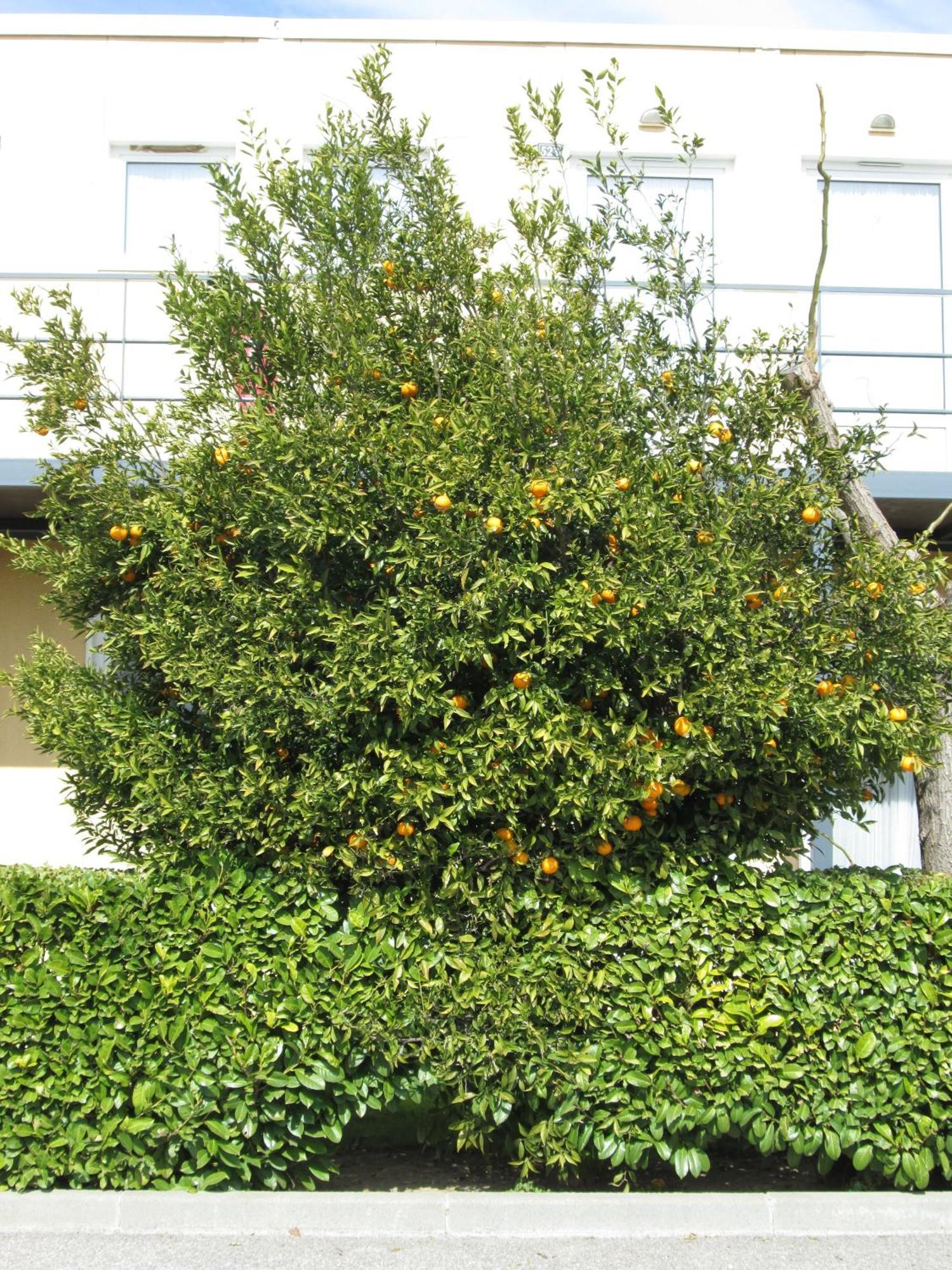 Hôtel Ariane Istres Exterior foto